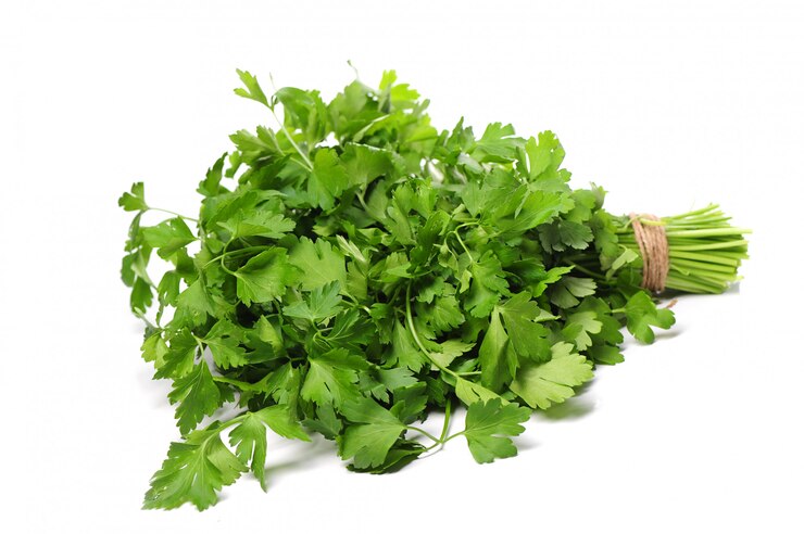 Coriander